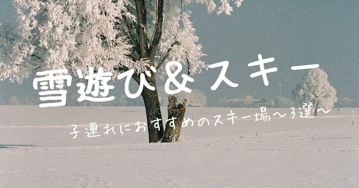 【雪遊び＆スキー】子連れにおすすめのスキー場～3選～